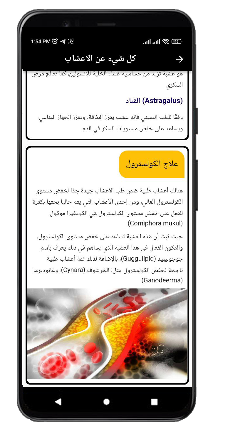 Explanation of herbs